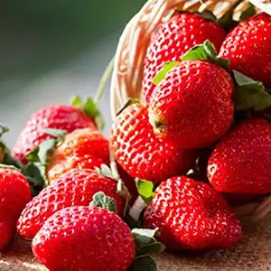 მარწყვი