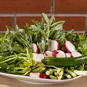 მწვანილი