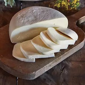 სულგუნი